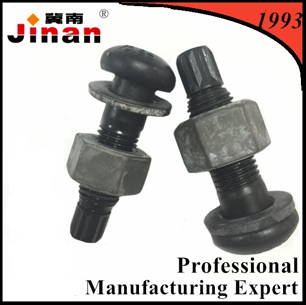 Steel Structural TS Bolt